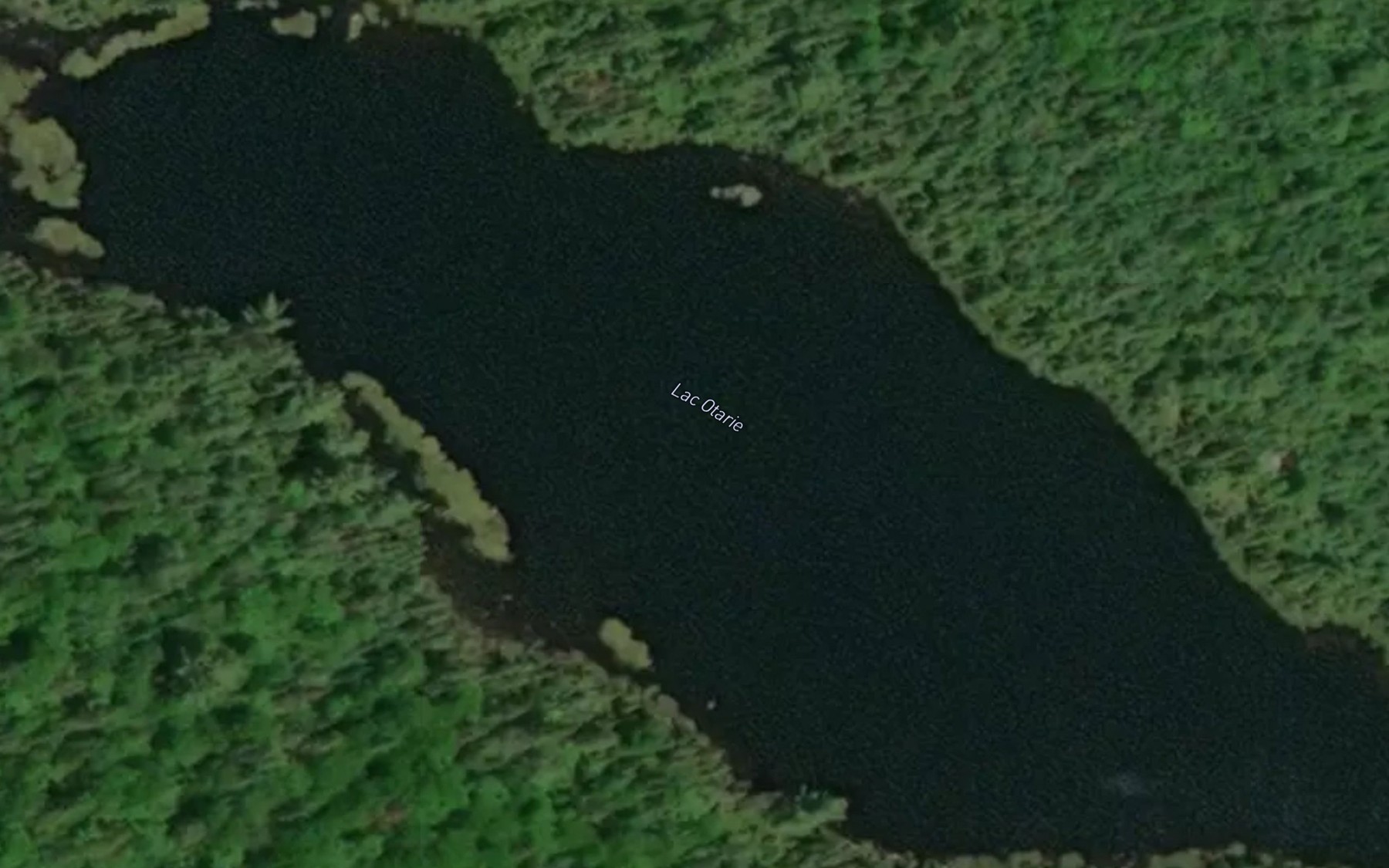 Satellite map of the Lac Otarie