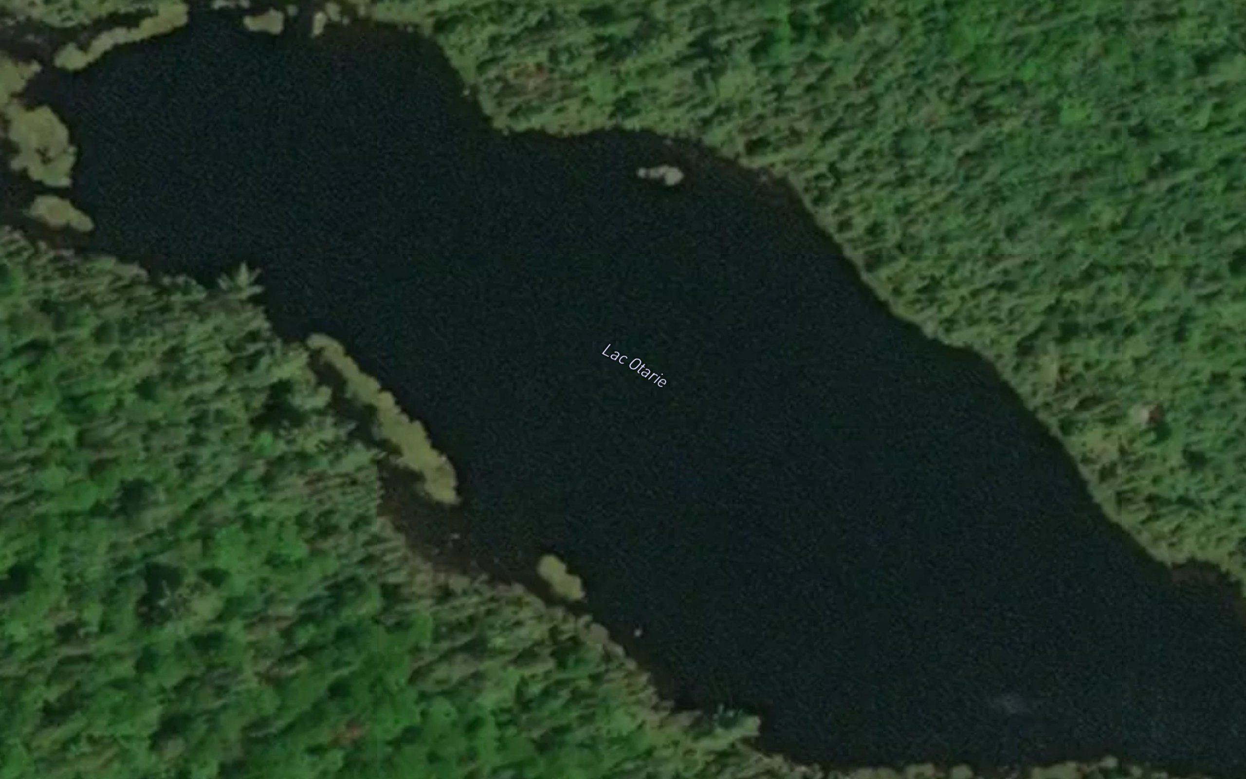 Lac Otarie