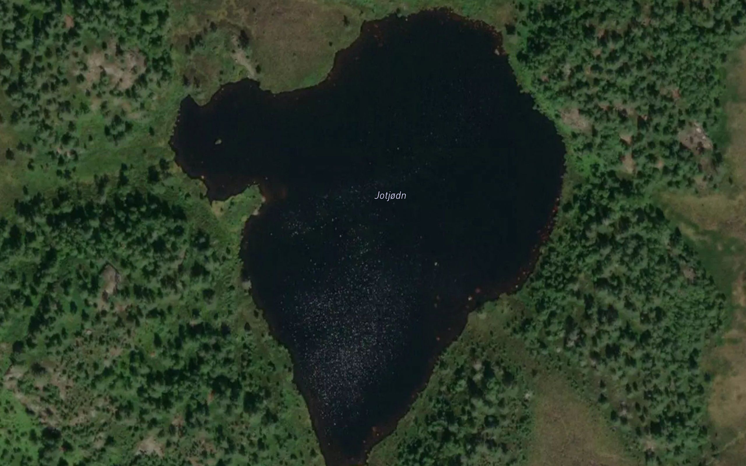 Jotjorn