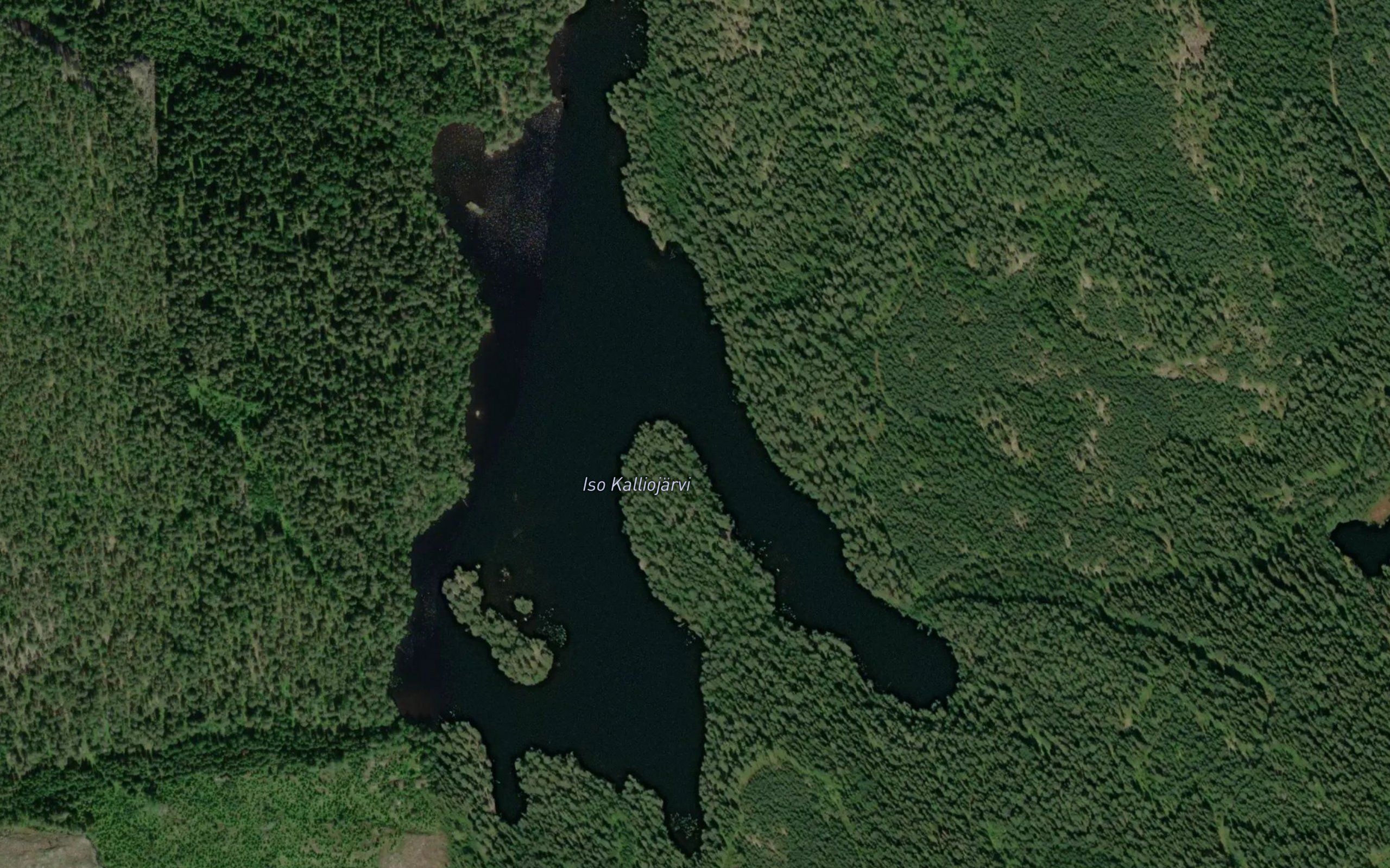 Iso Kalliojarvi