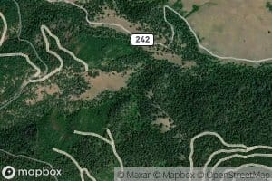 South Fork Cow Creek