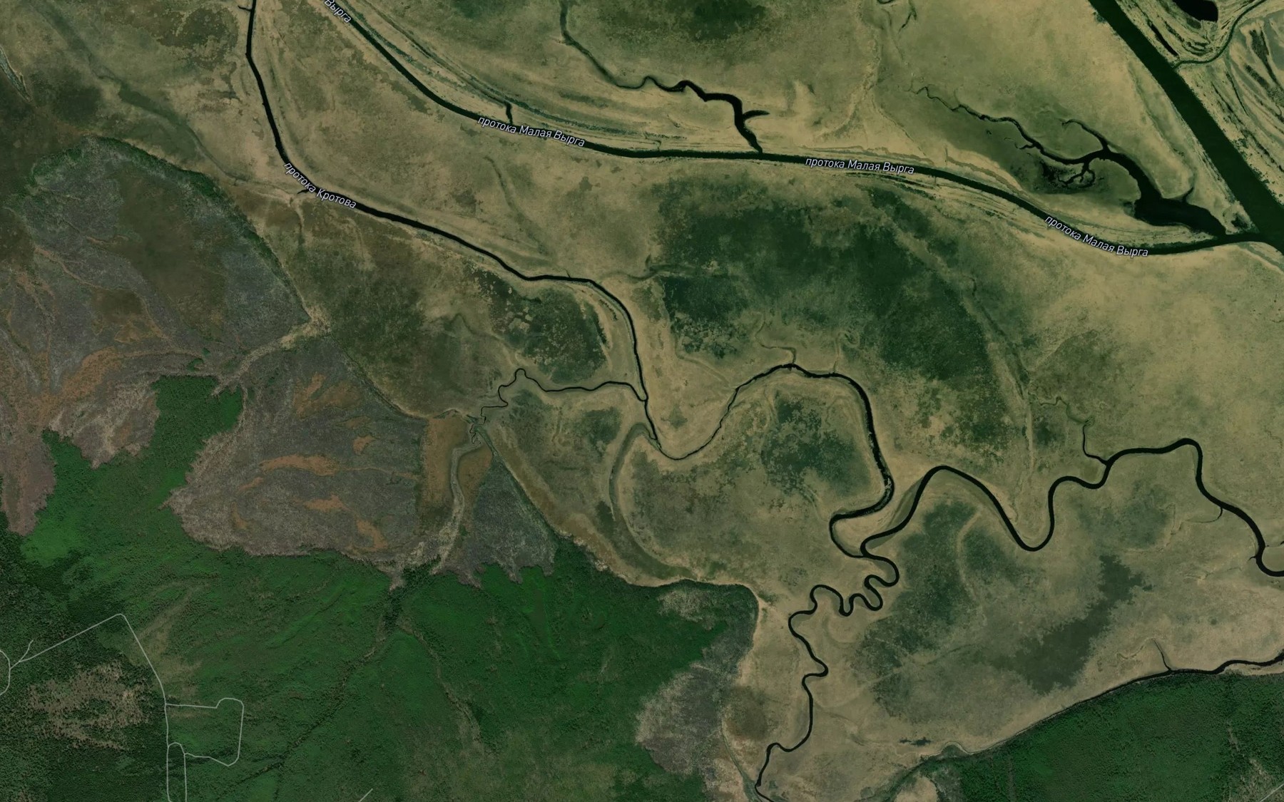 Satellite map of the Polyanka
