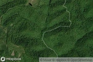 Grassy Gap Fork
