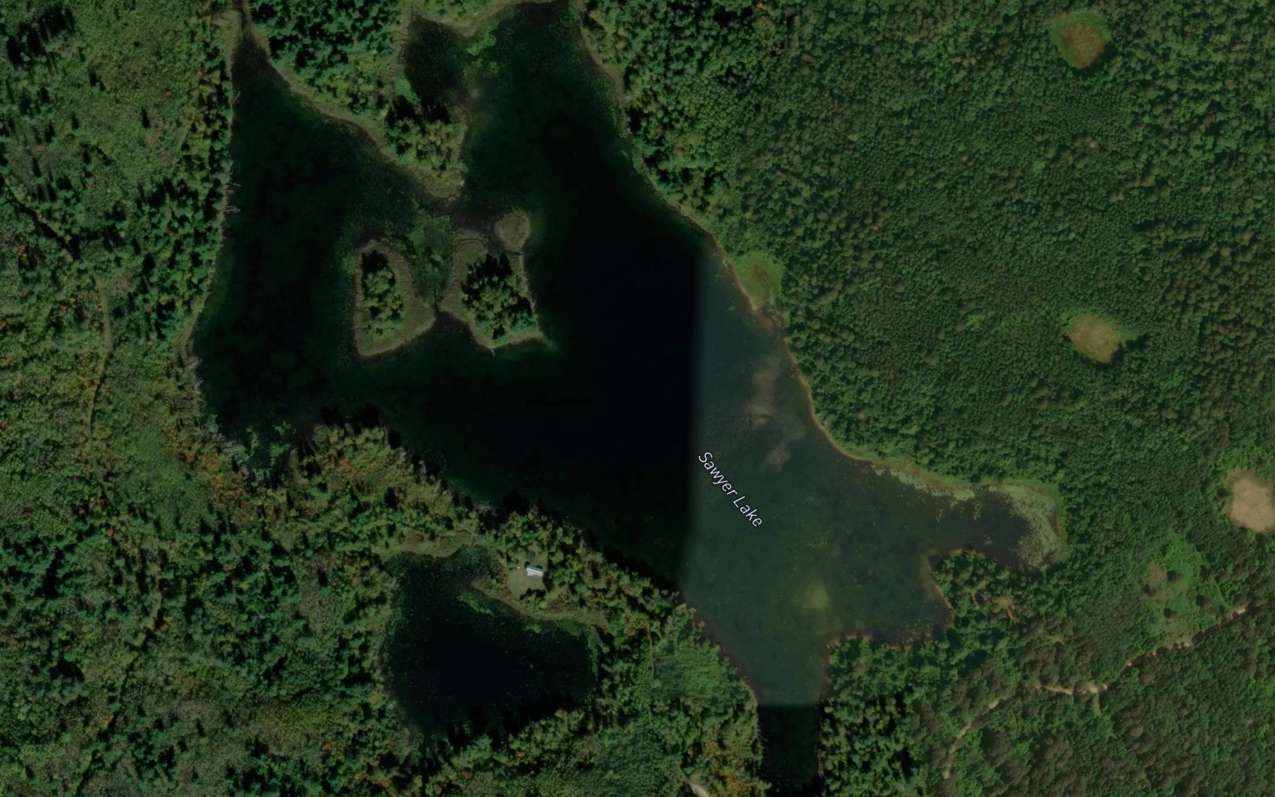 Sawyer Lake