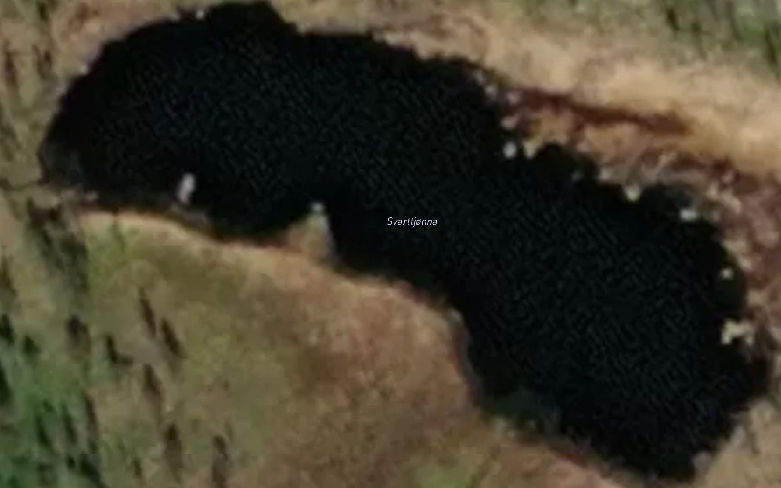 Svarttjorna
