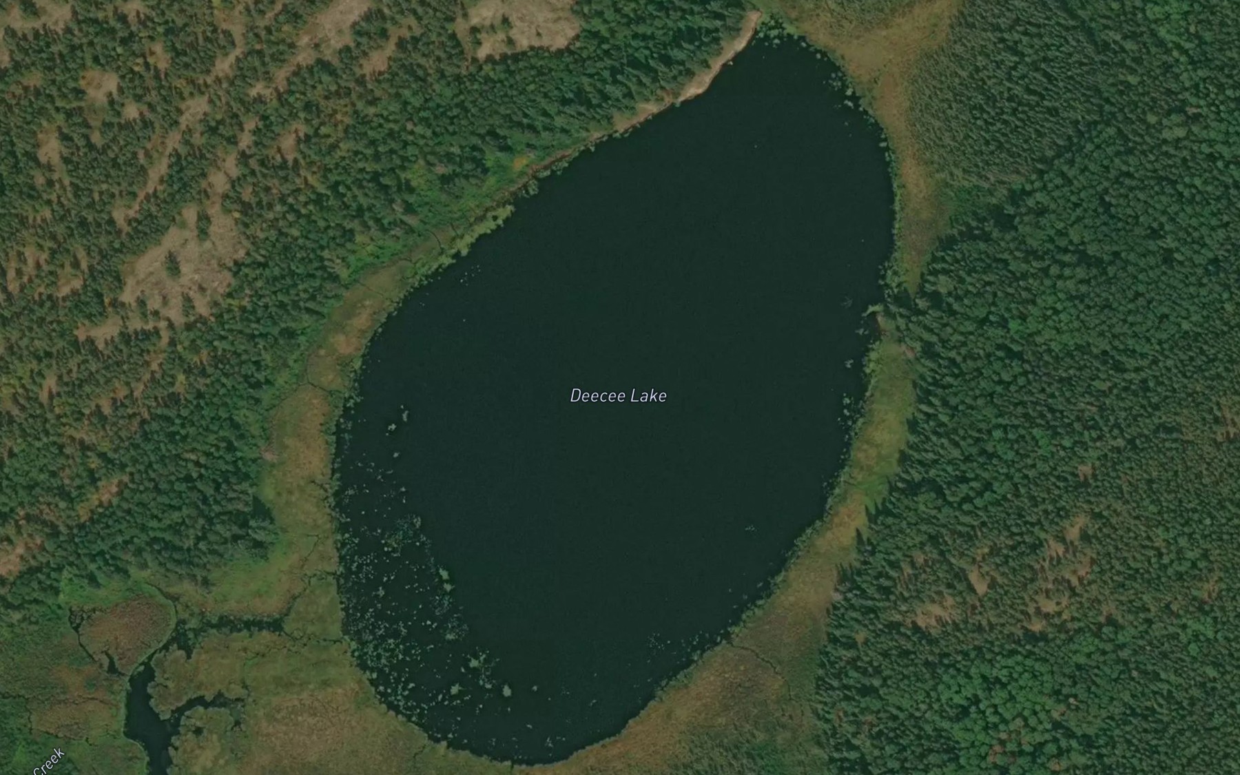 Satellite map of the Deecee Lake