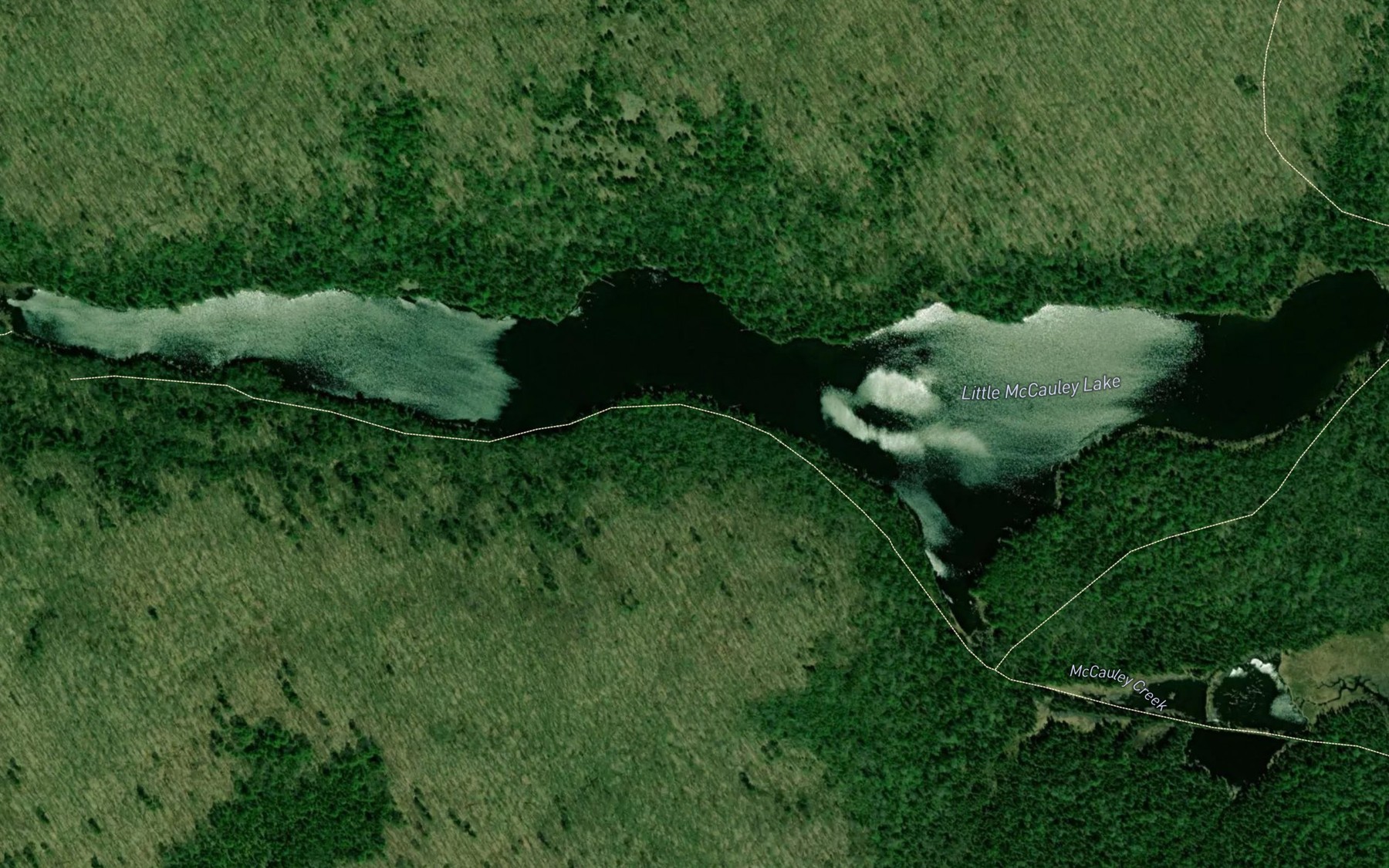 Satellite map of the Little McCauley Lake