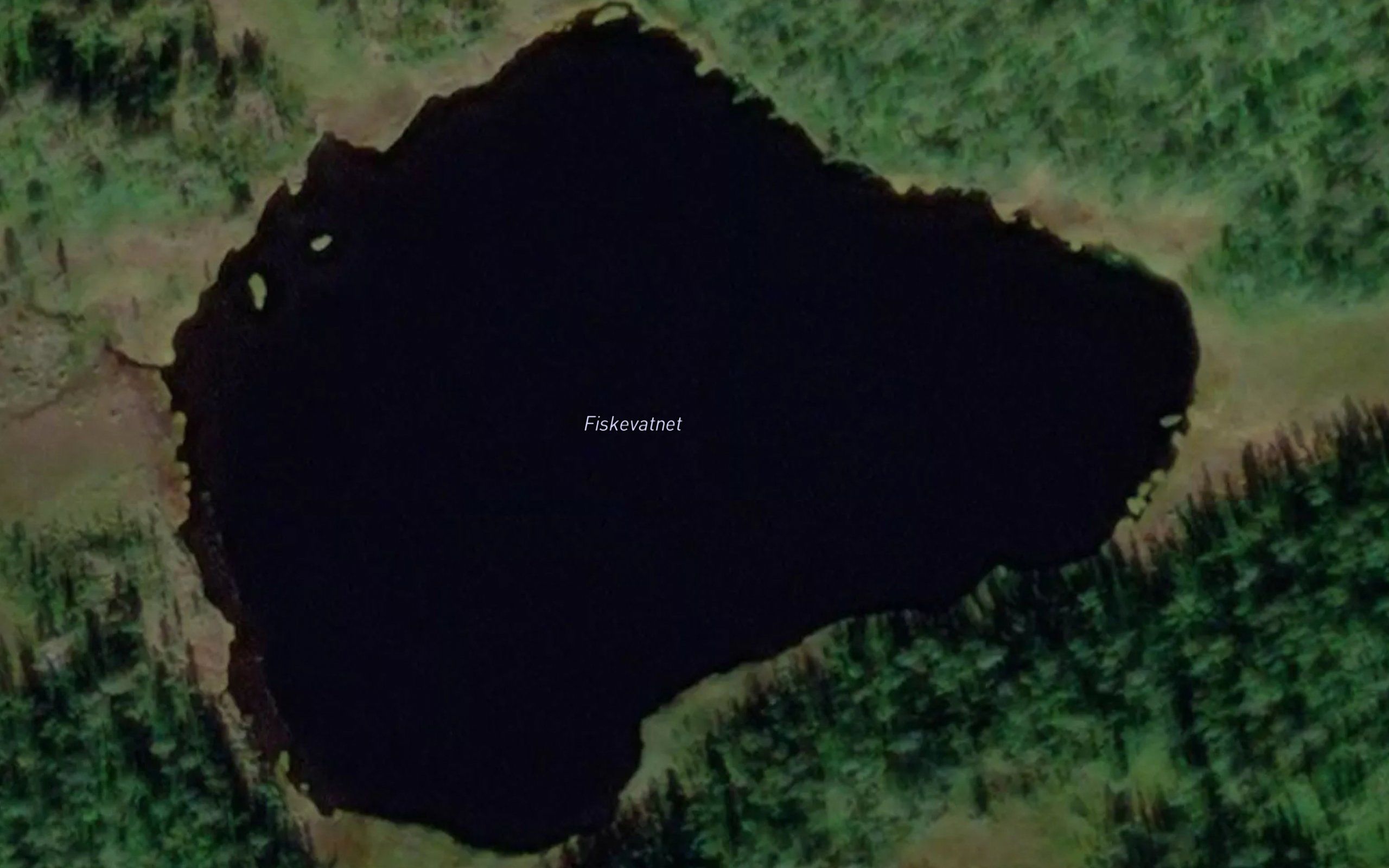 Fiskevatnet
