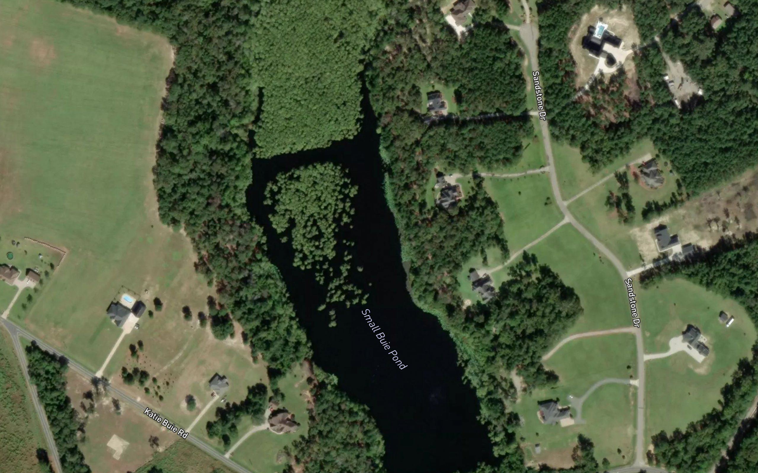 Buie Pond Small