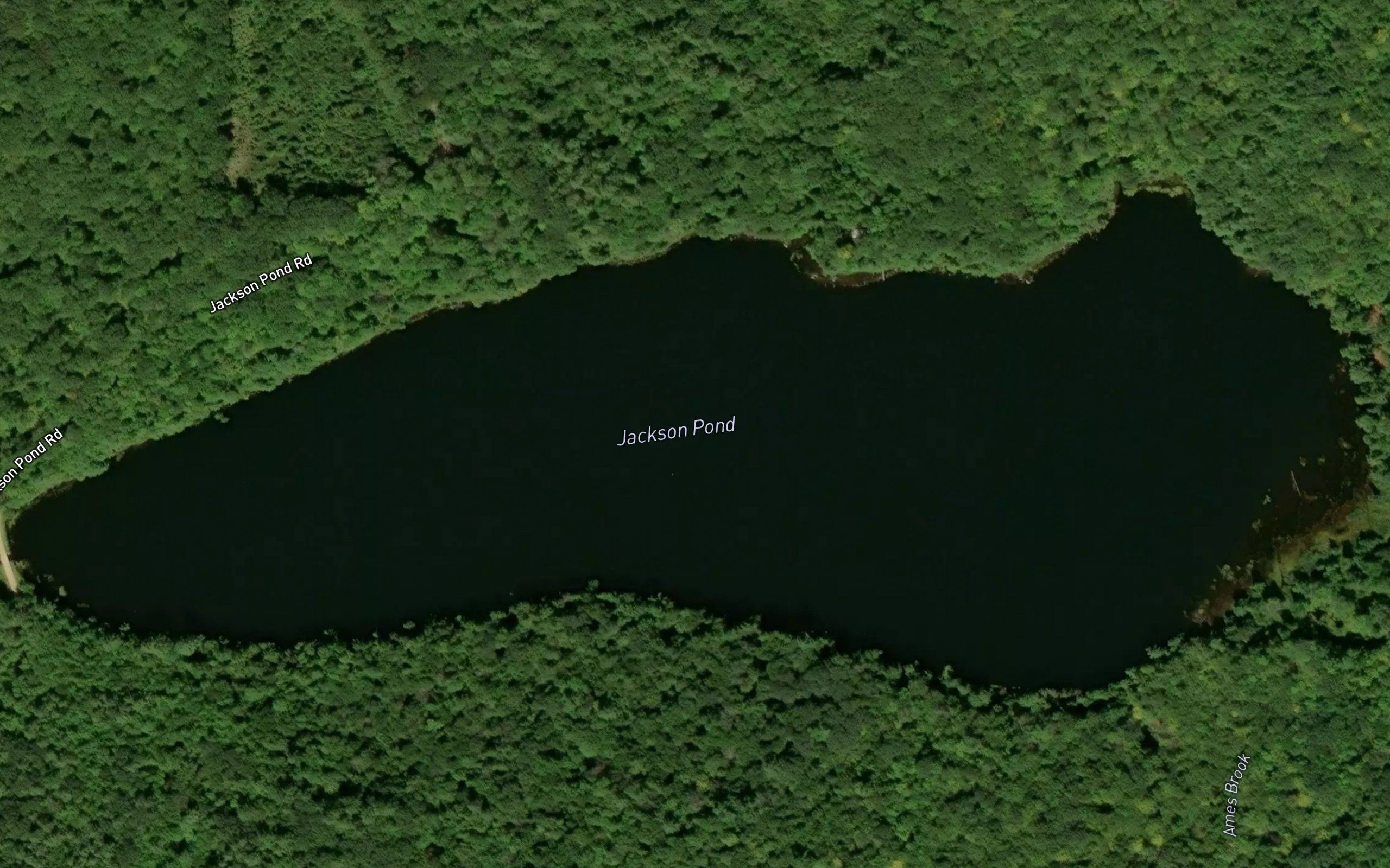 Jackson Pond