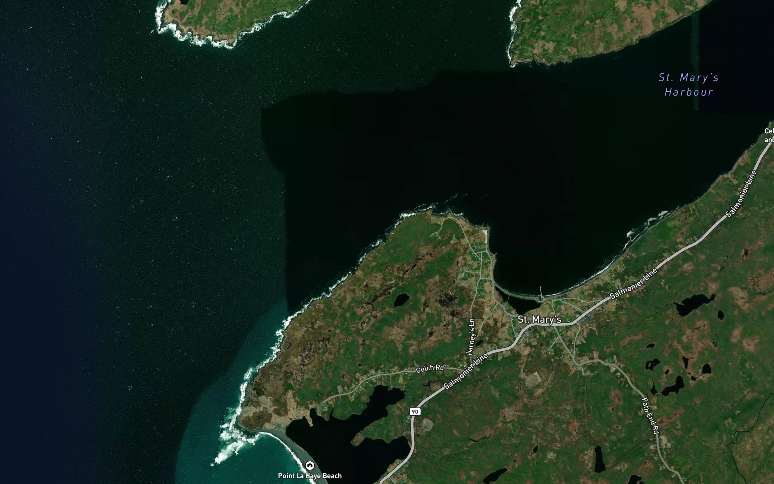 Cow Cove