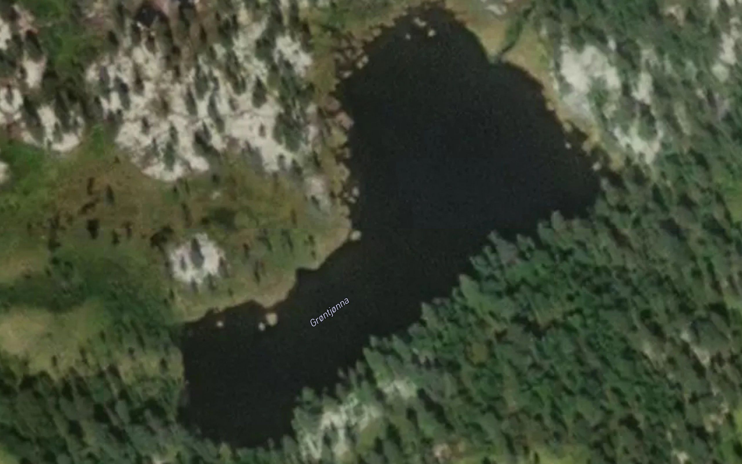 Grontjorna