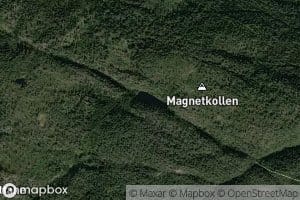 Magnettjorn