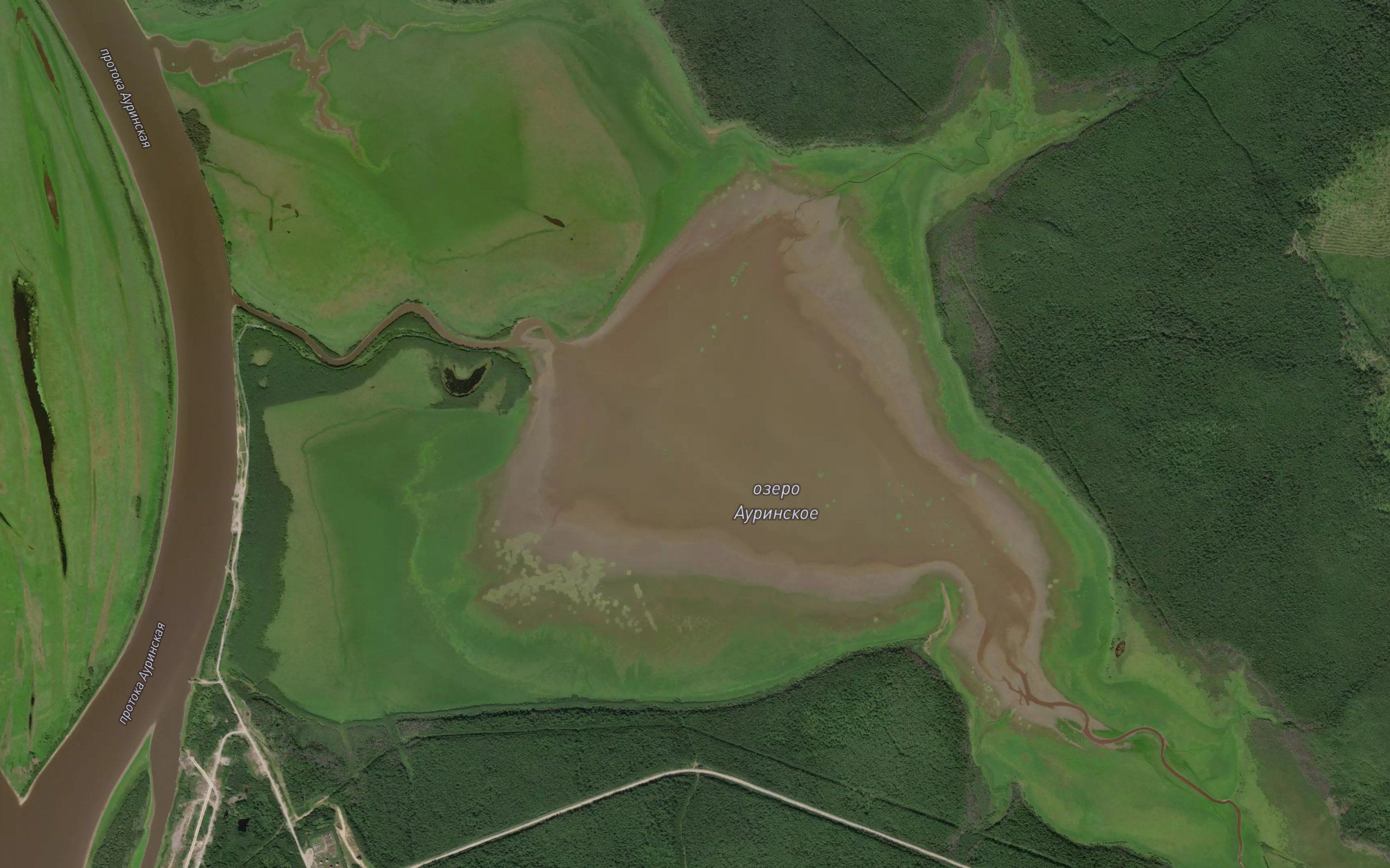 Ozero Auriinskoye