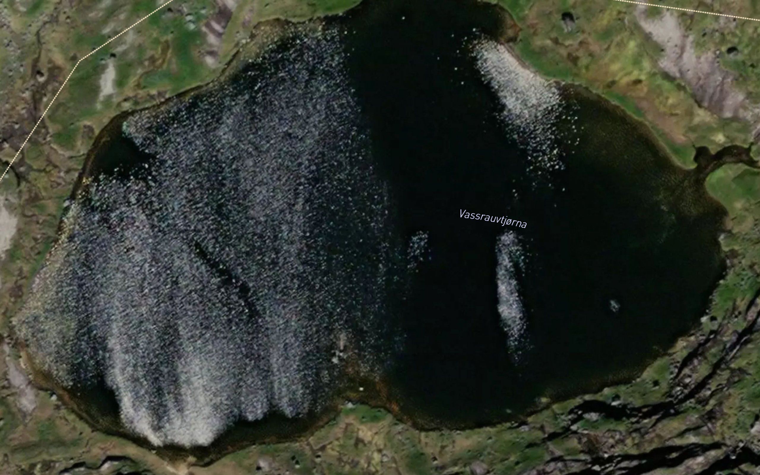Vassrauvtjorna