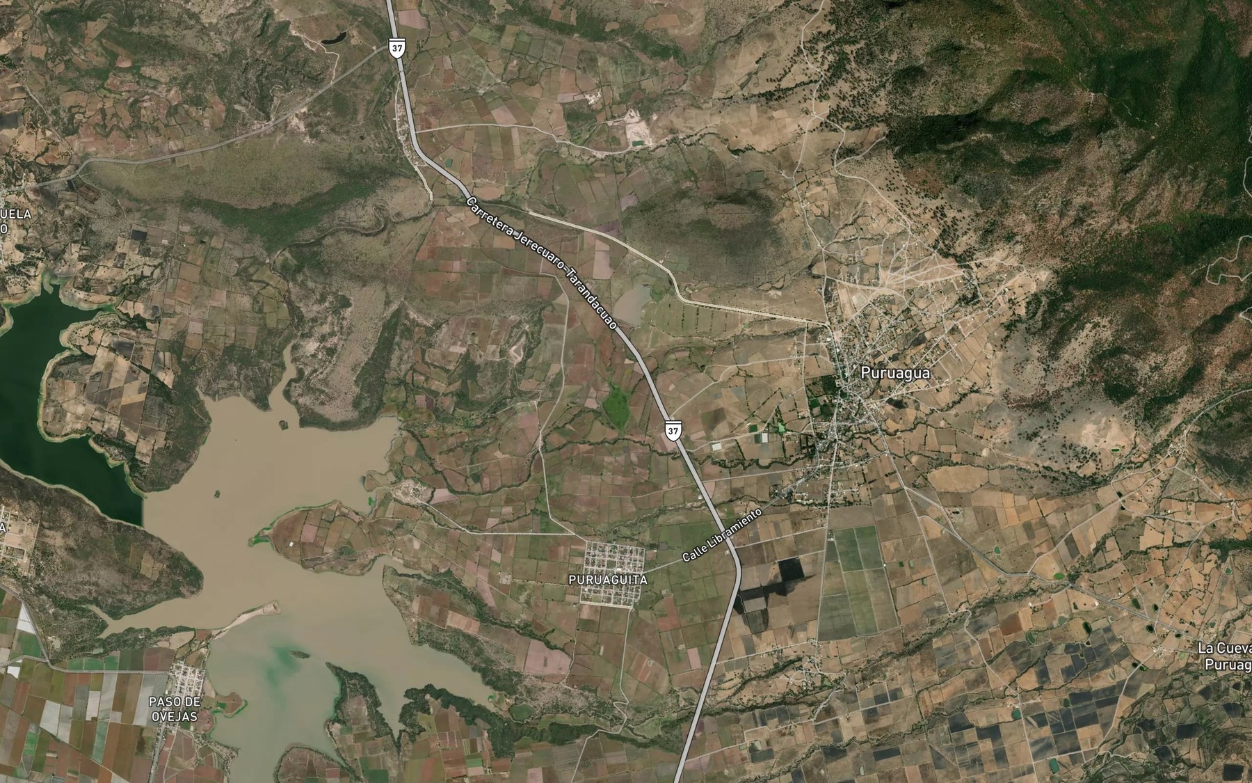 Satellite map of the El Guayabo