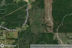 Slagle Lake (historical)