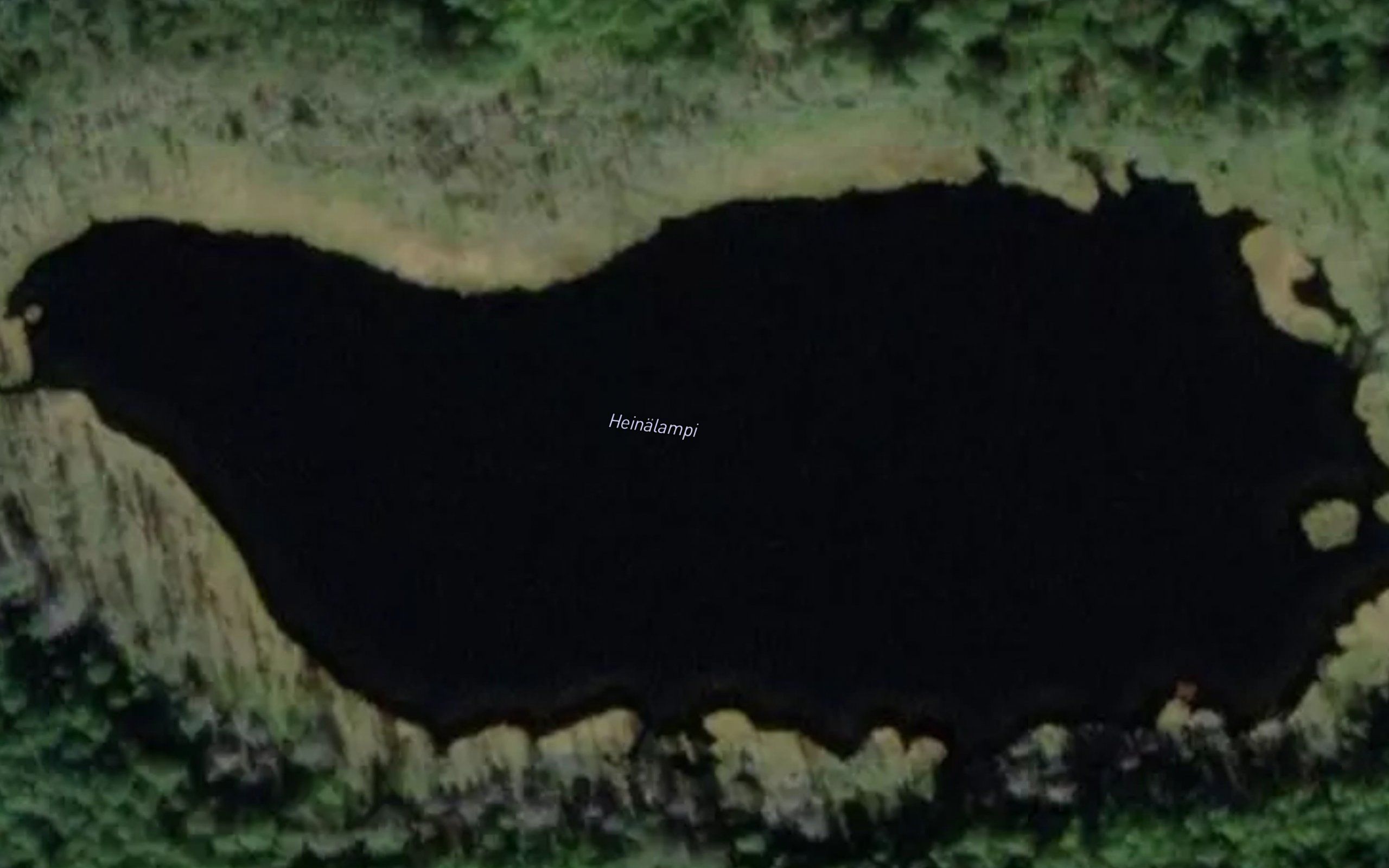 Heinalampi