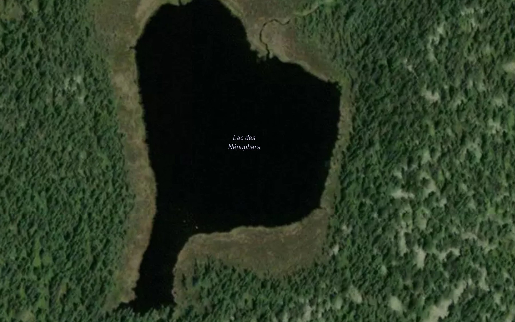 Satellite map of the Lac des Nenuphars
