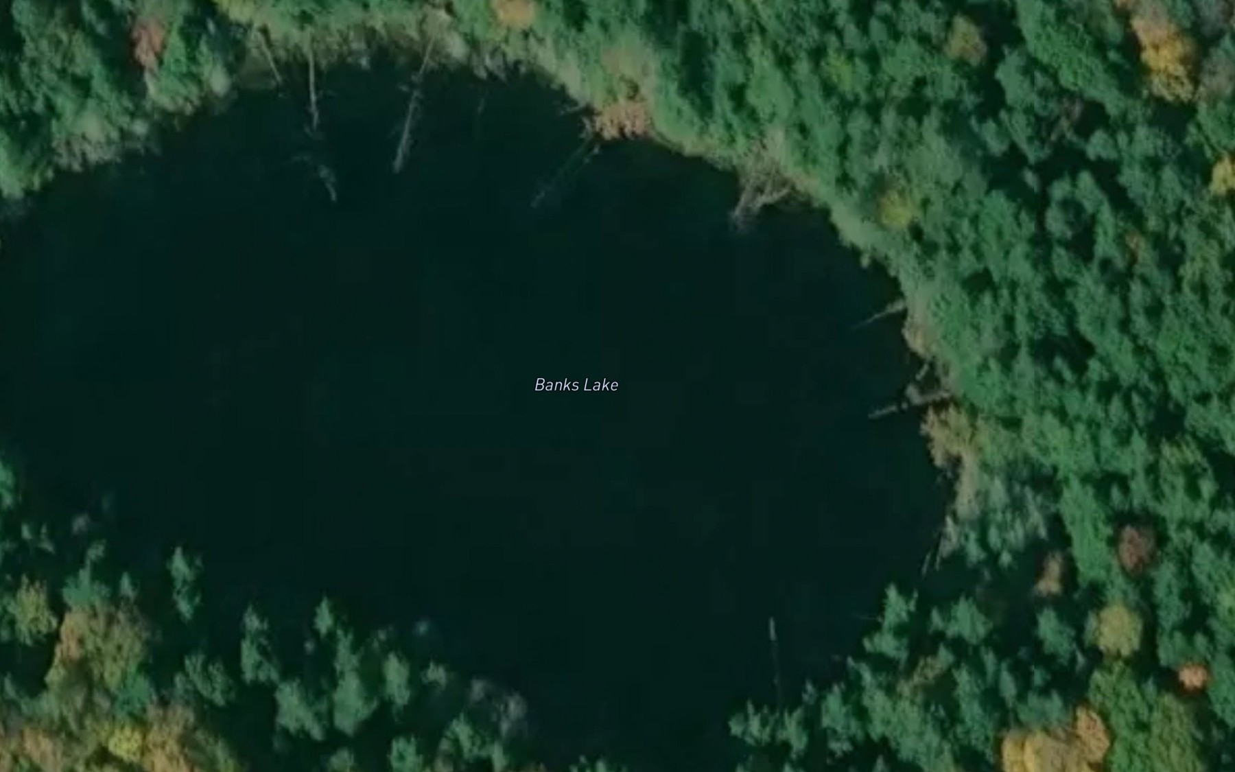 Satellite map of the Banks Lake