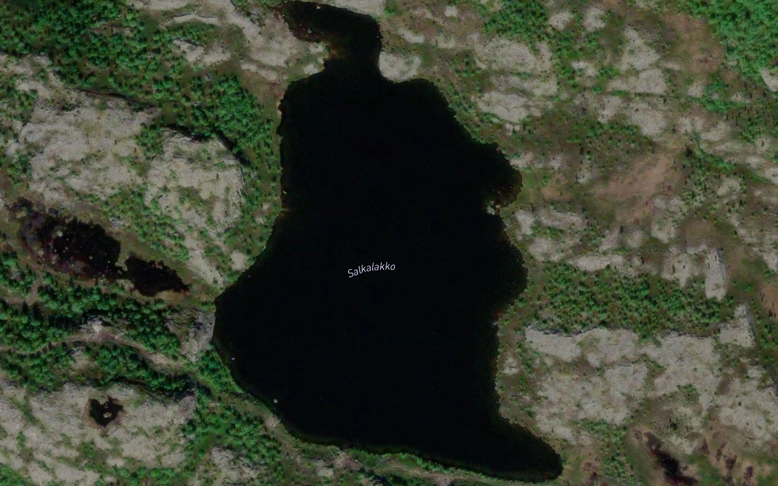 Salkalakko