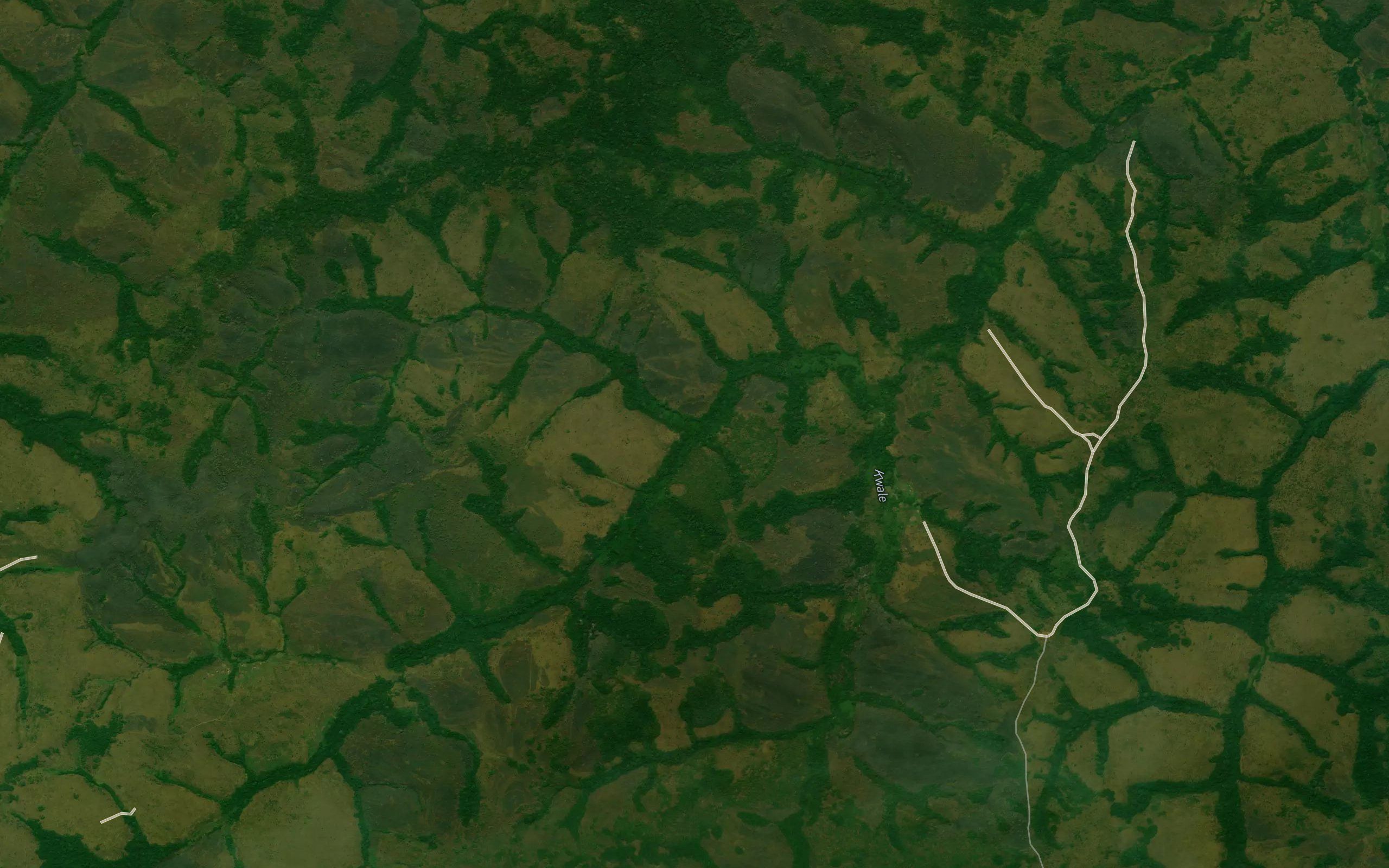 Quicocota