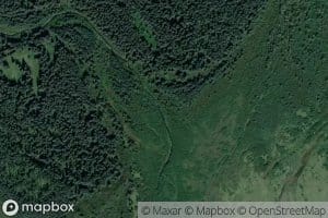 Cannery Creek