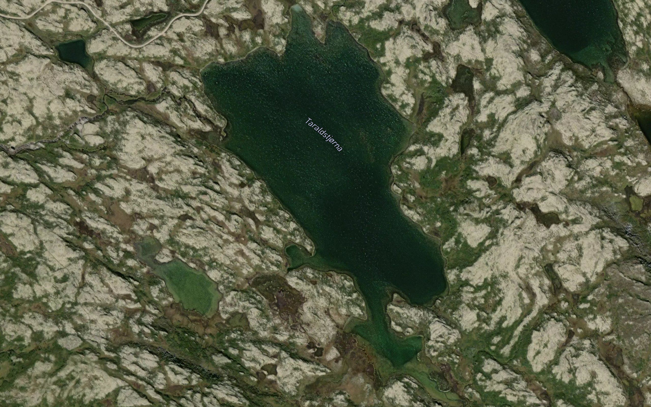 Taraldstjorna