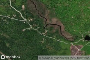 Alder Brook