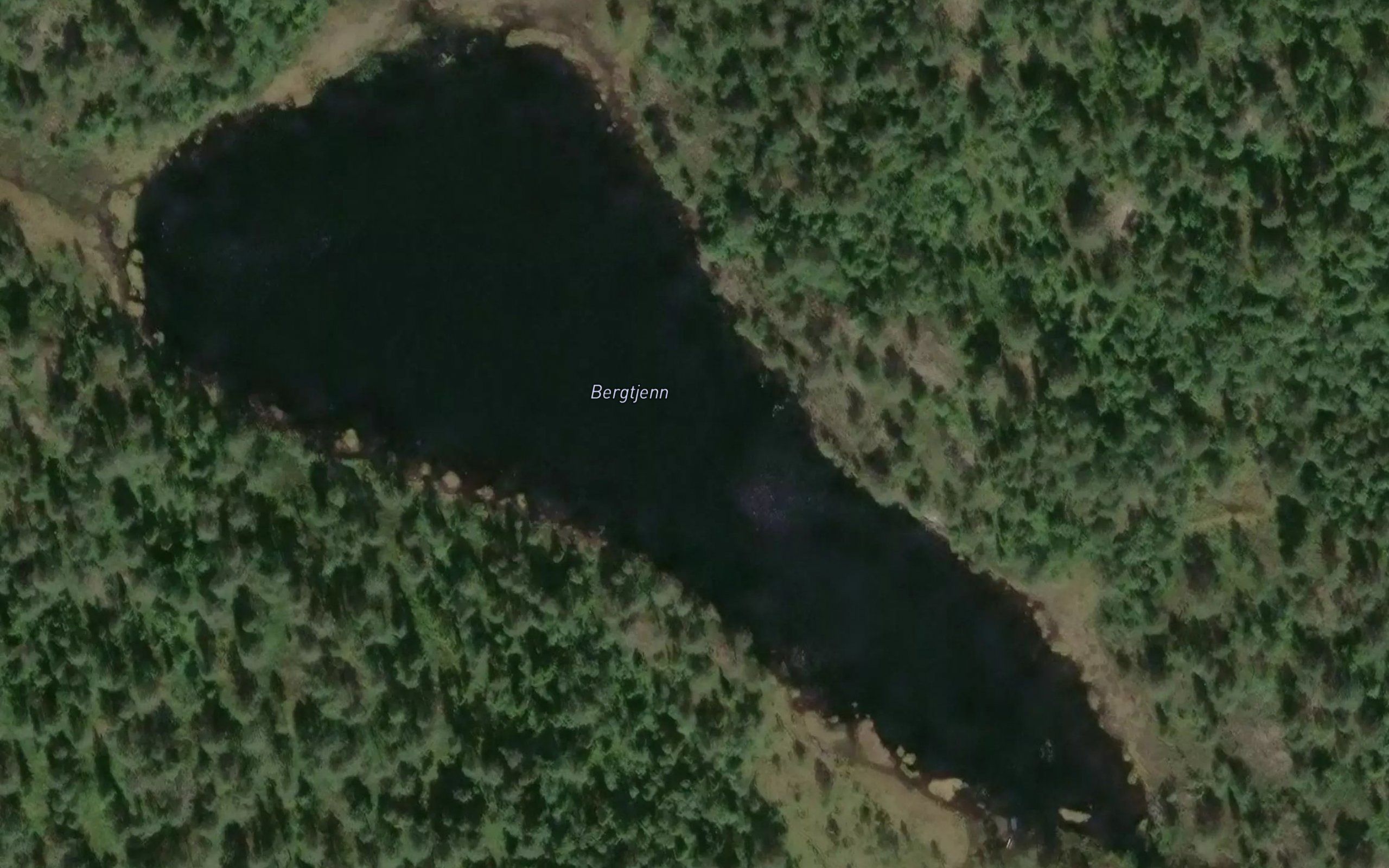 Bergtjern