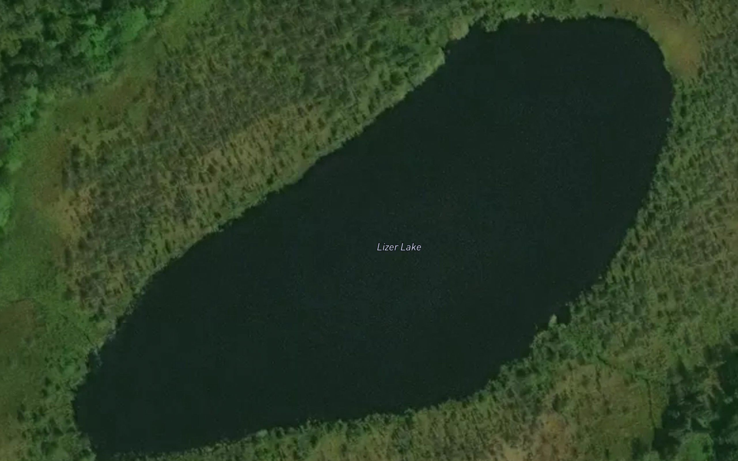 Lizer Lake
