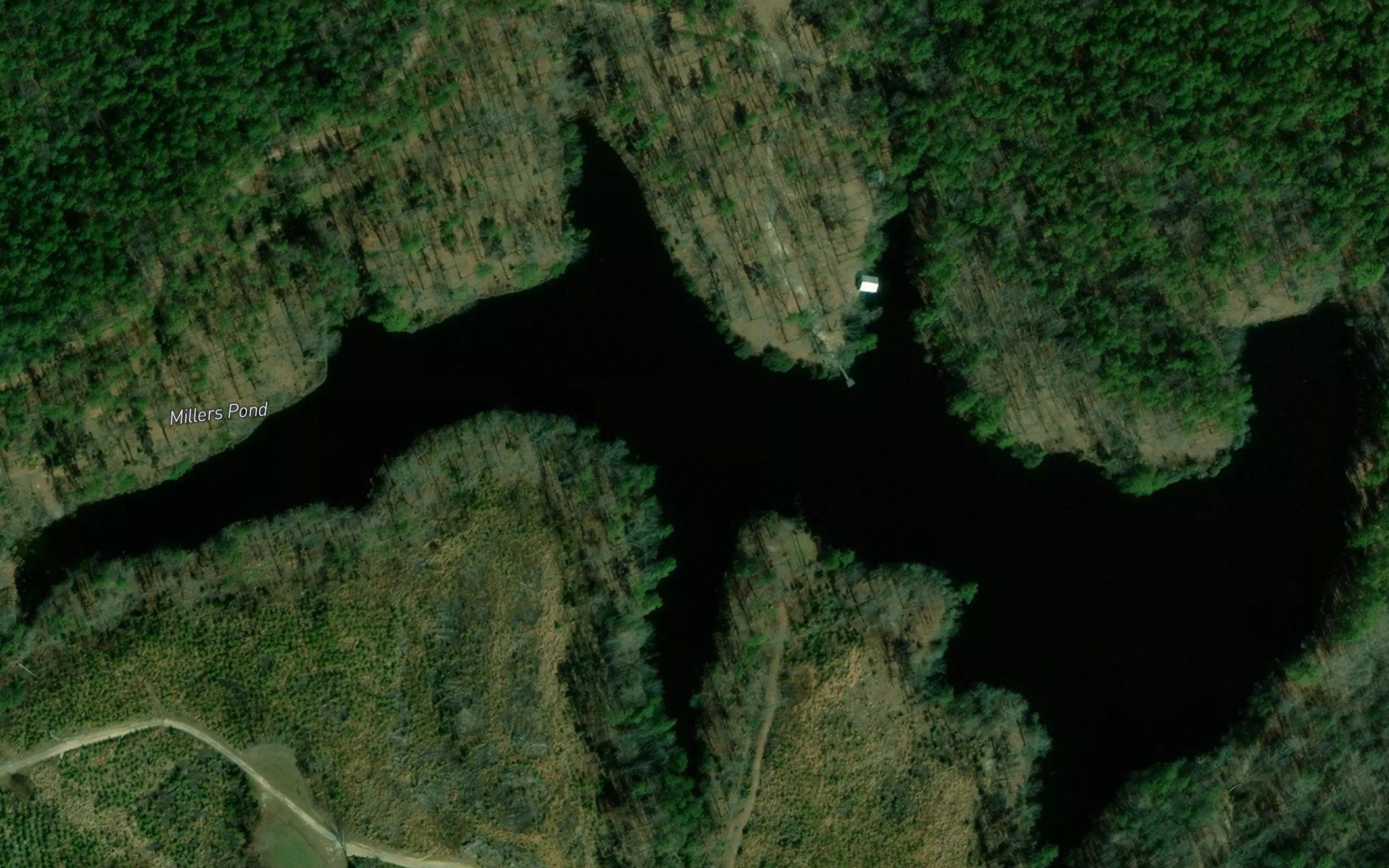 Millers Pond