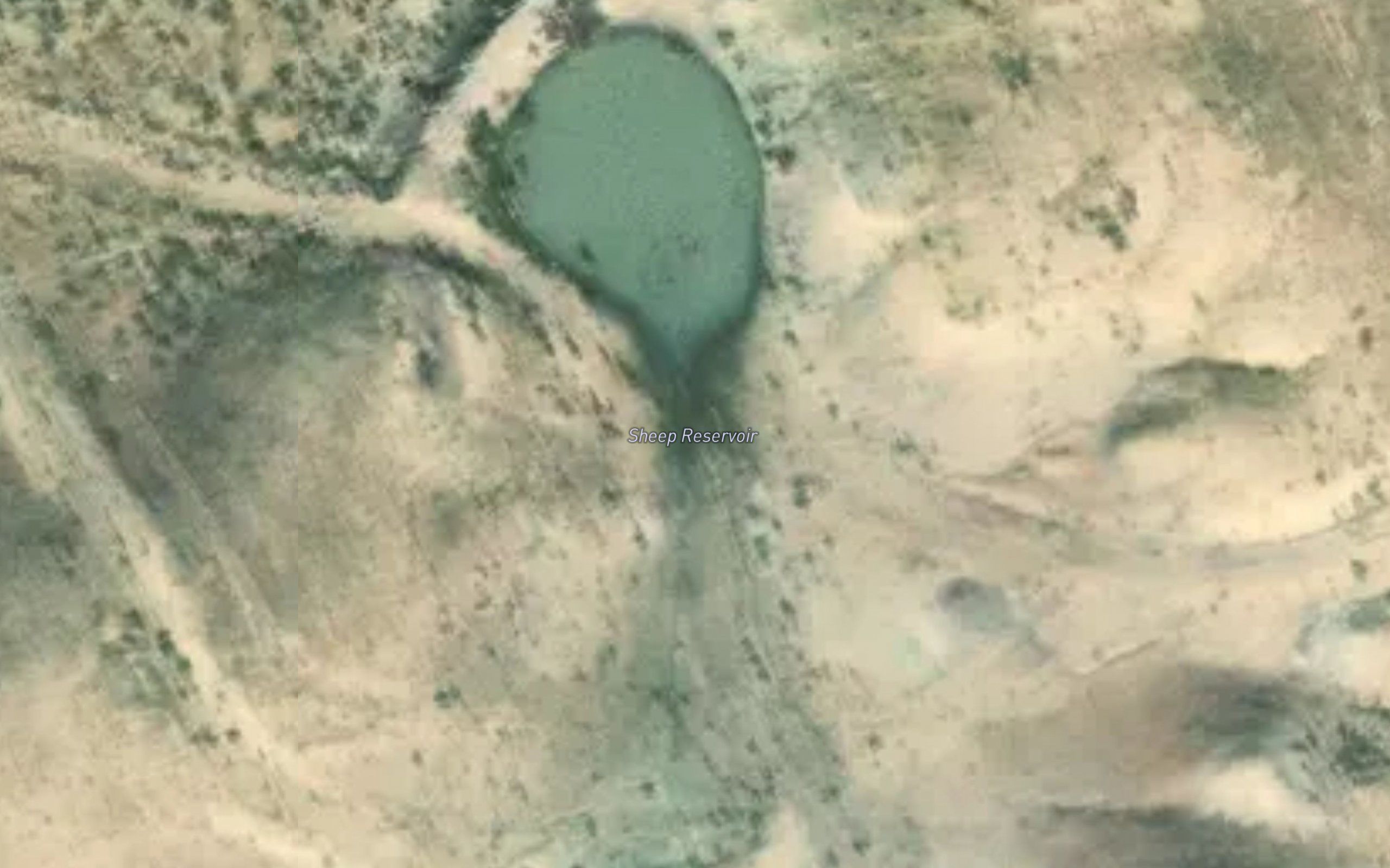 Sheep Reservoir