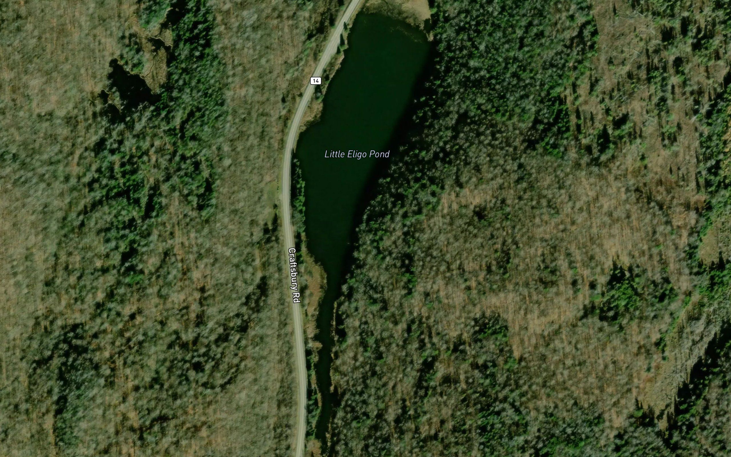 Little Elligo Pond