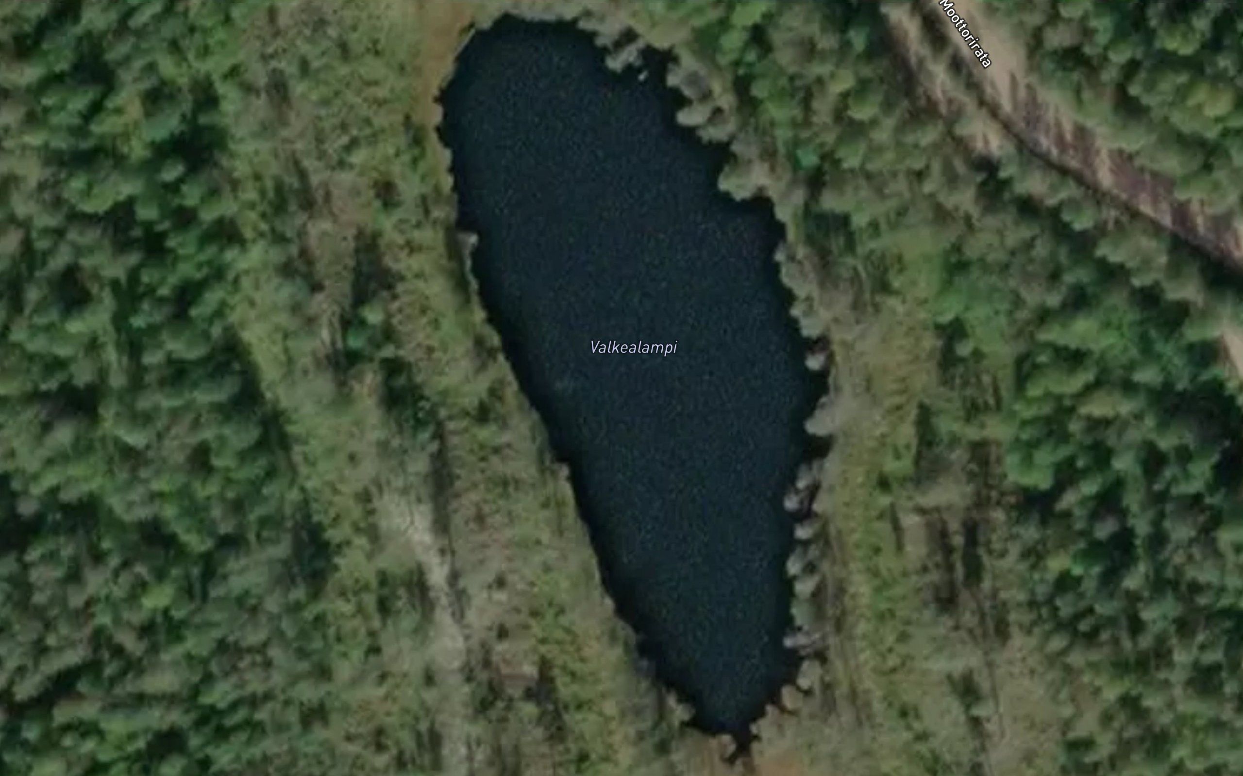 Valkealampi