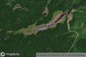 Chaya Pond