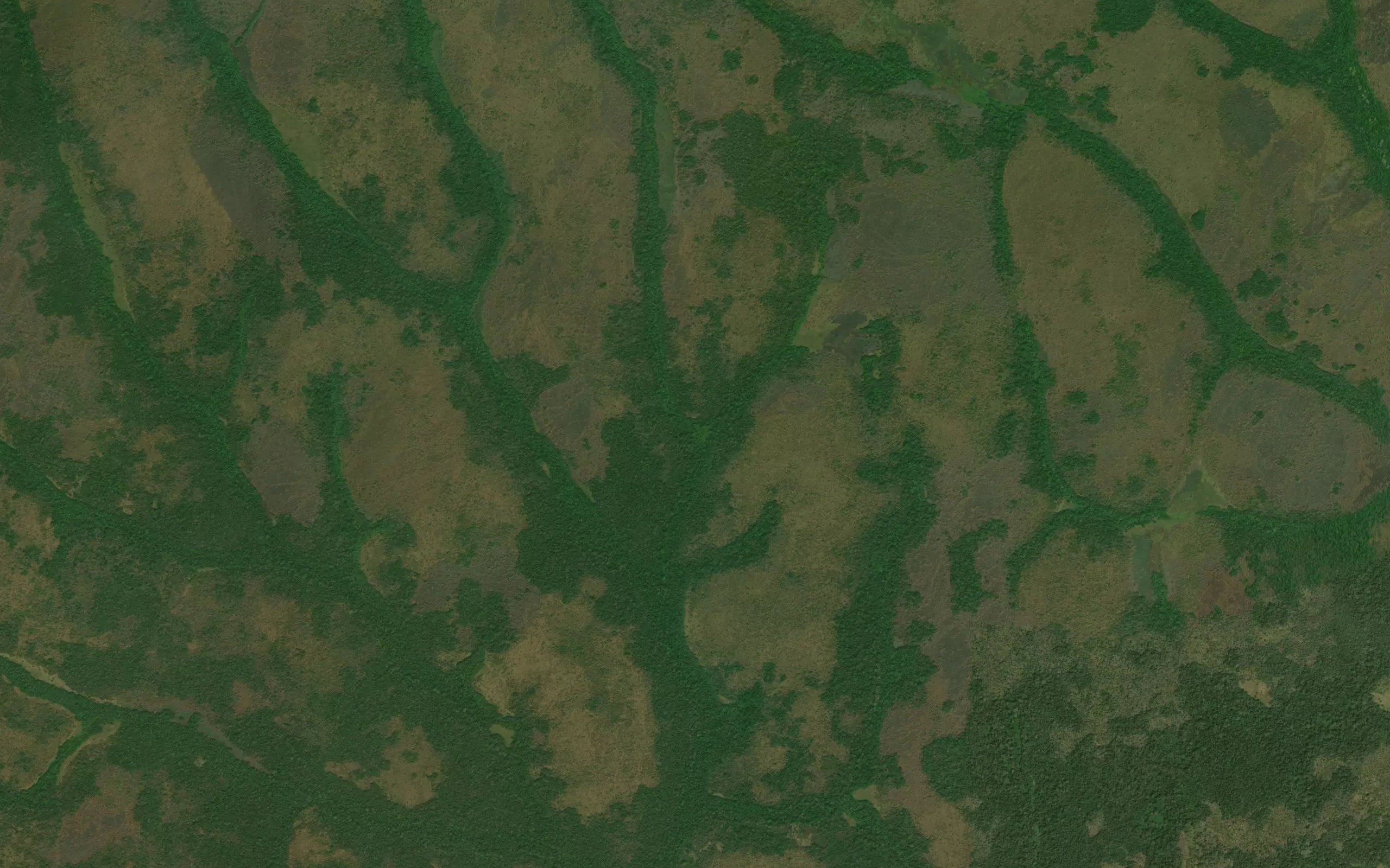 Nasikisa
