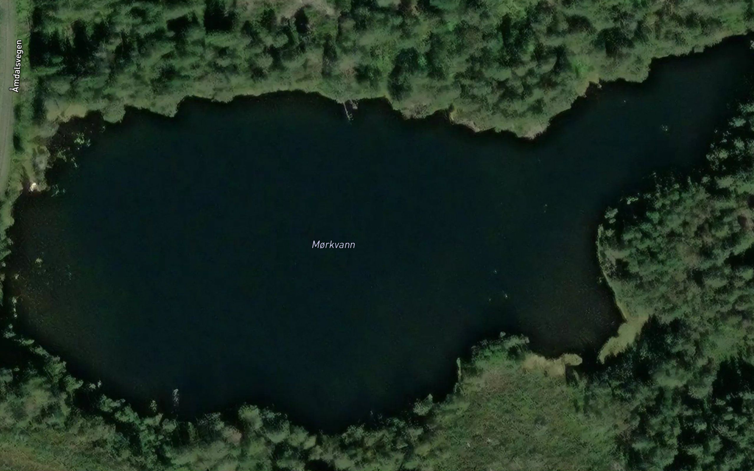 Morkvann