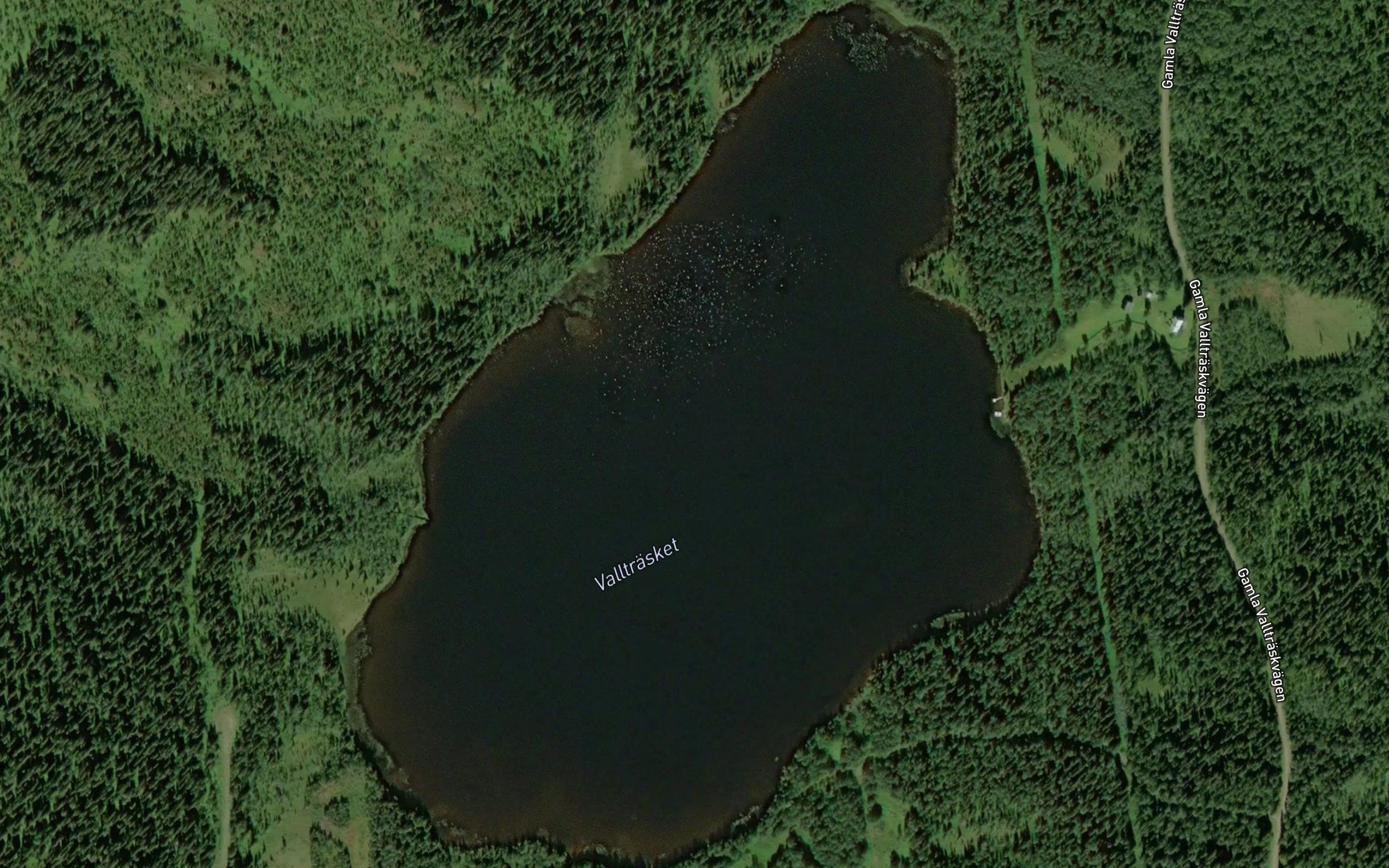 Valltraesket