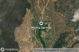 Mzima Springs