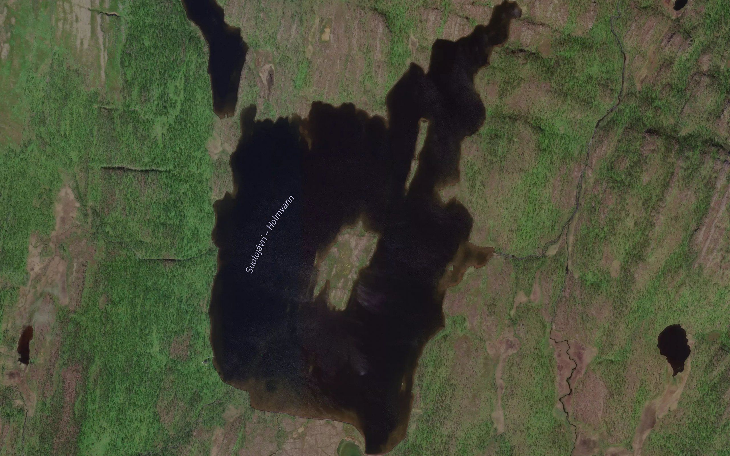Holmvann