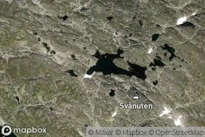 Svaenuttjonni