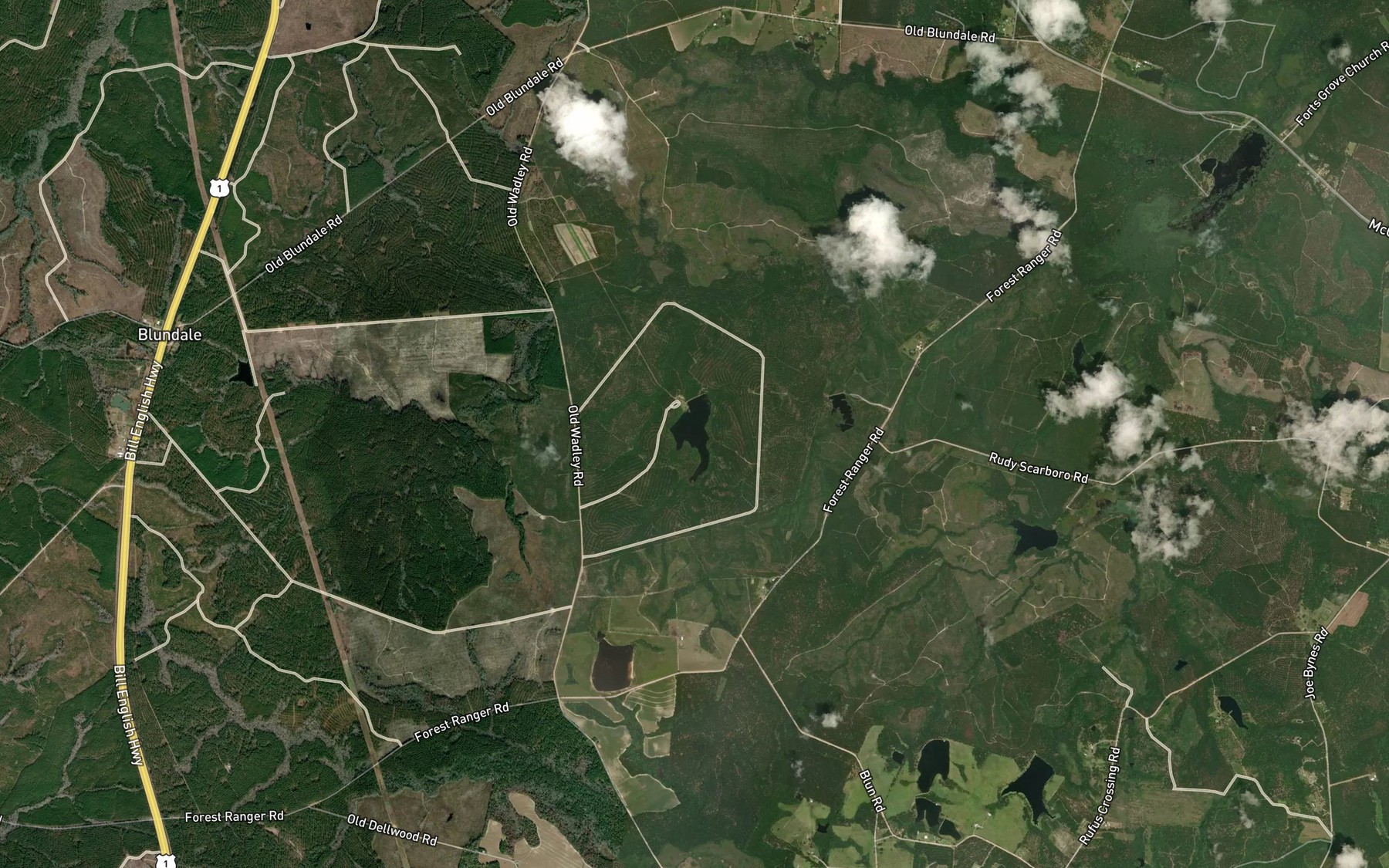 Satellite map of the Jenkins Pond