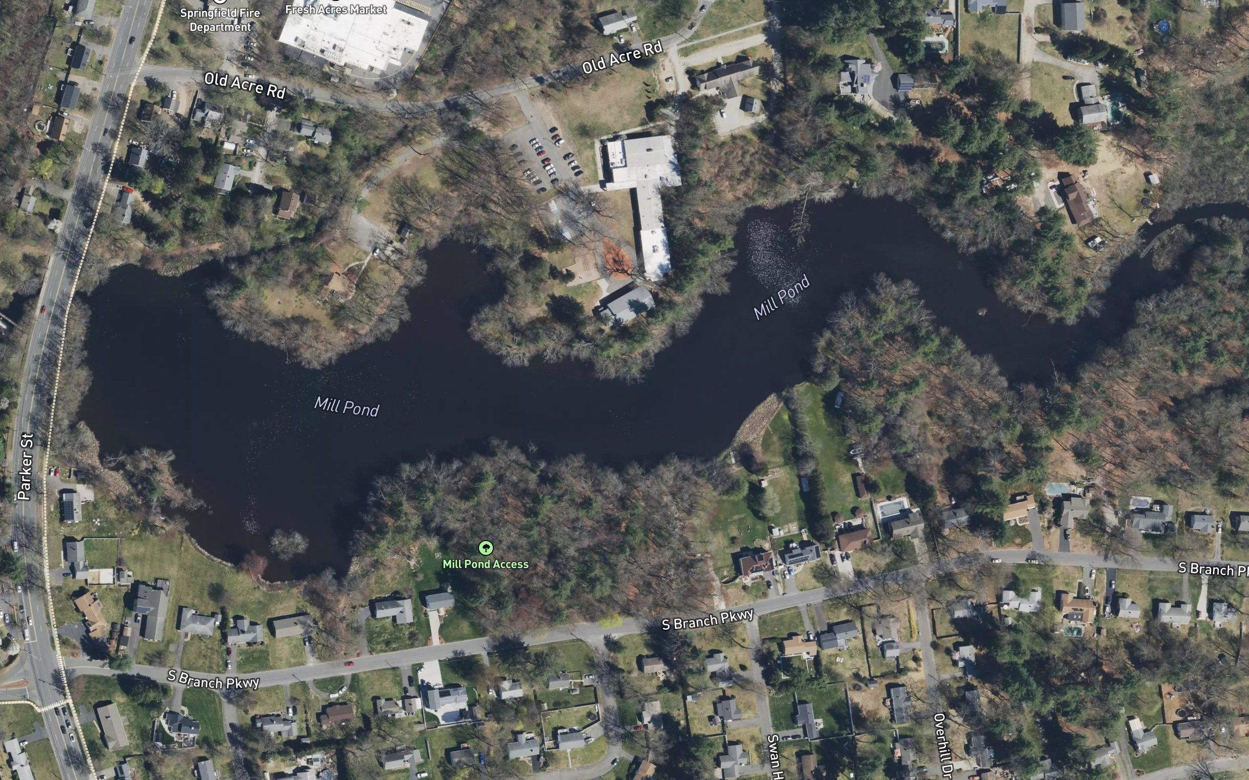 Mill Pond