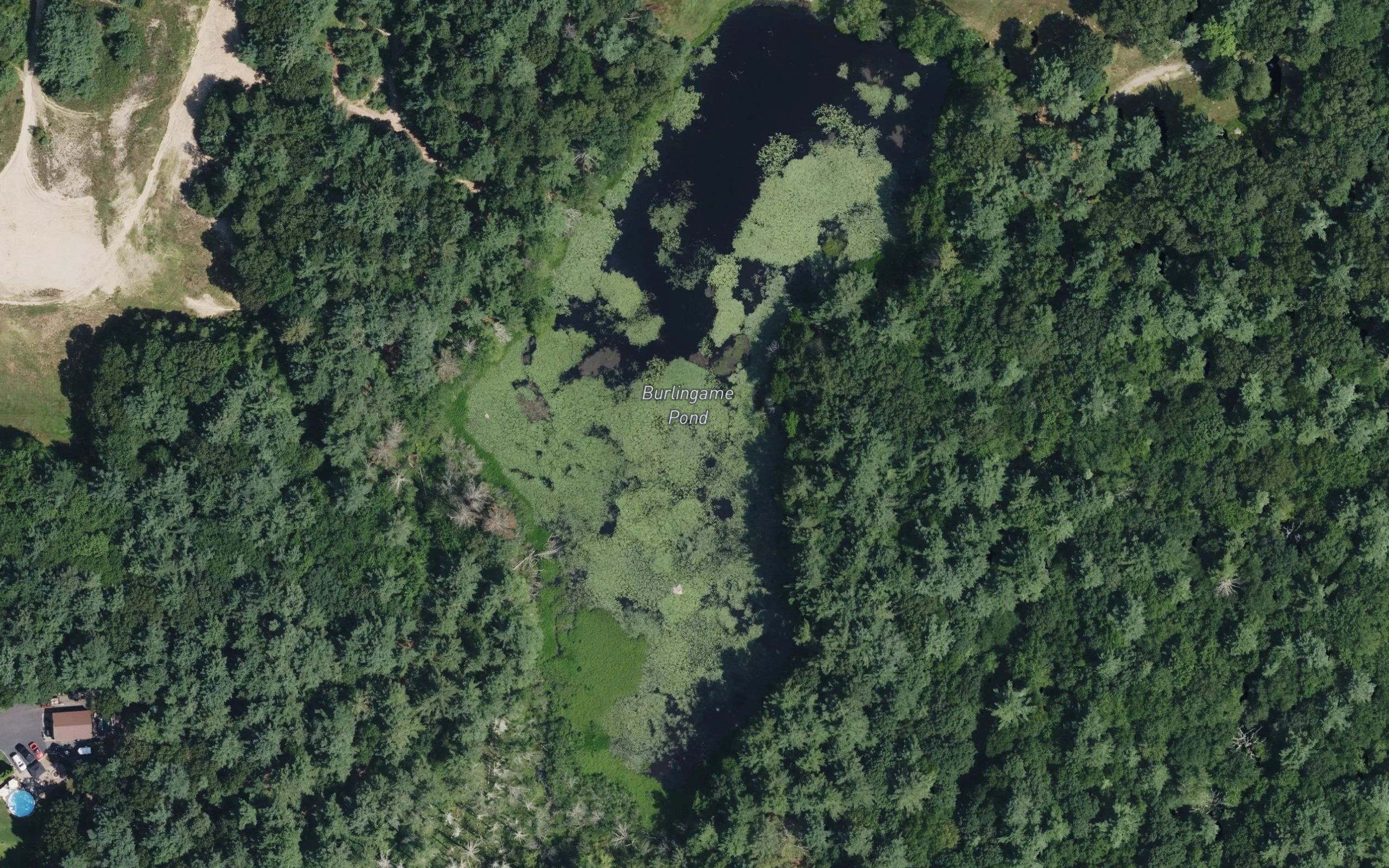 Burlingame Pond