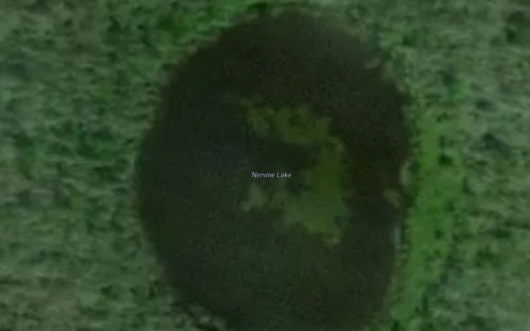 Satellite map of the Nervine Lake