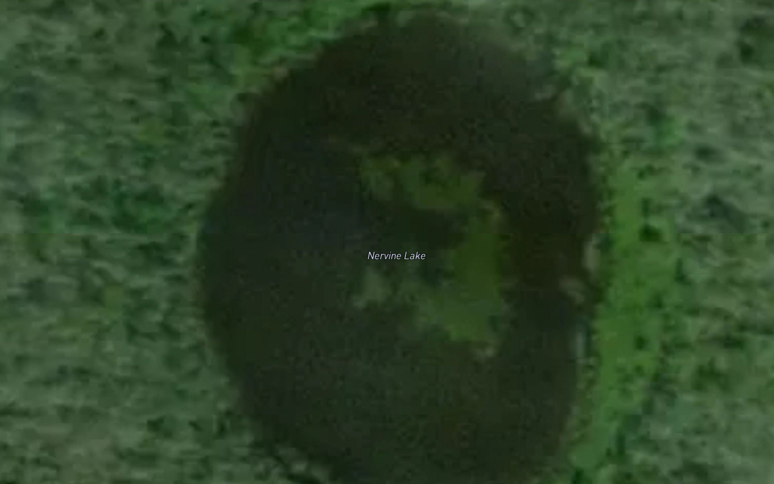 Nervine Lake