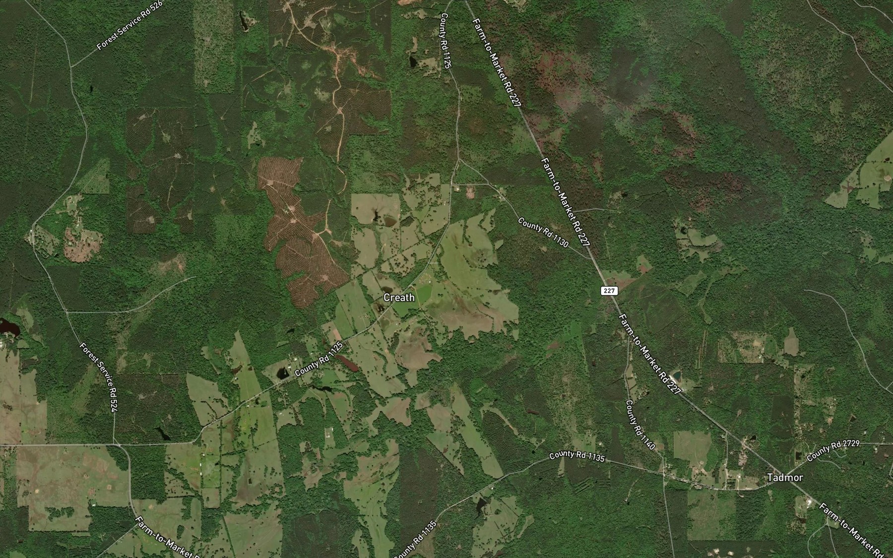 Satellite map of the Wilcox Branch and Chinquapin Merge