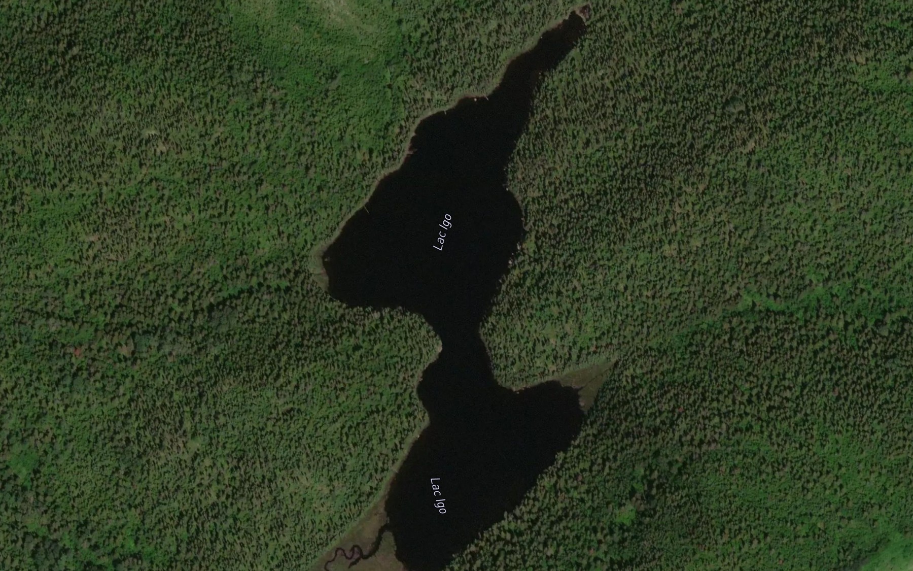 Satellite map of the Lac Igo