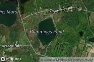 Cummings Pond